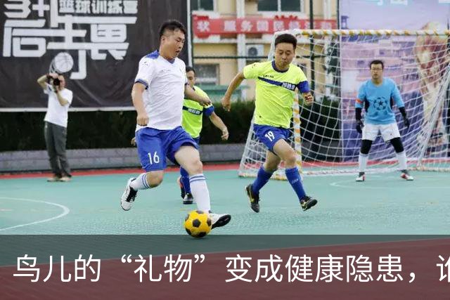 鸟儿的“礼物”变成健康隐患，谁来拯救你的肺？